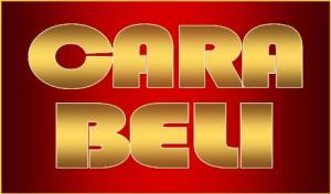 Beli Tangga Teleskopik